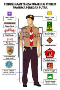 Baju PDL Pramuka Terbaru dan Keren » Ozza Konveksi Jogja